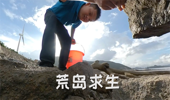 荒岛求生团建活动