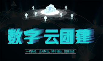 数字团建培训活动专项定制