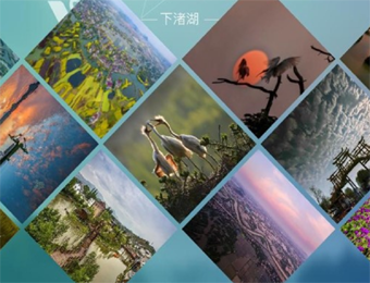 浙江团建基地-下渚湖星空营地