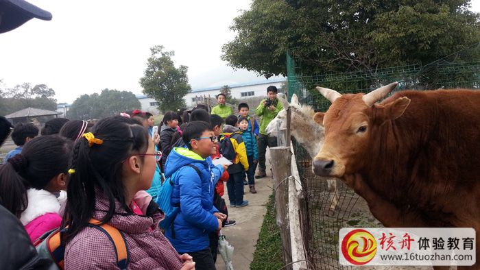 情系苏州，核舟乐慧青少年春季体验课走进农场 主题活动圆满结束